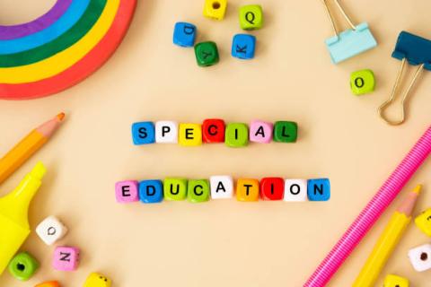 Image of block letters of various colors spelling "special education" with other items nearby such as a rainbow shaped from clay and binder clips. 