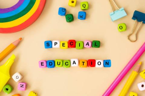 Image of block letters of various colors spelling "special education" with other items nearby such as a rainbow shaped from clay and binder clips.